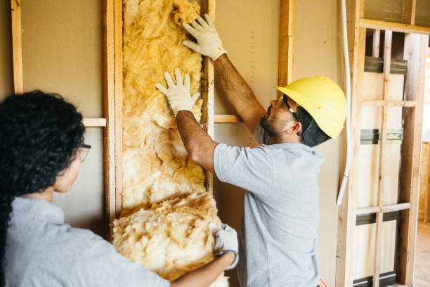 Best Soundproof Insulation  in Elgin, TX