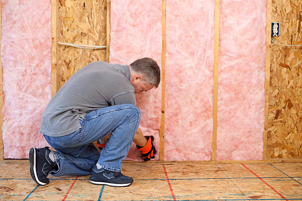 Best Crawl Space Insulation  in Elgin, TX